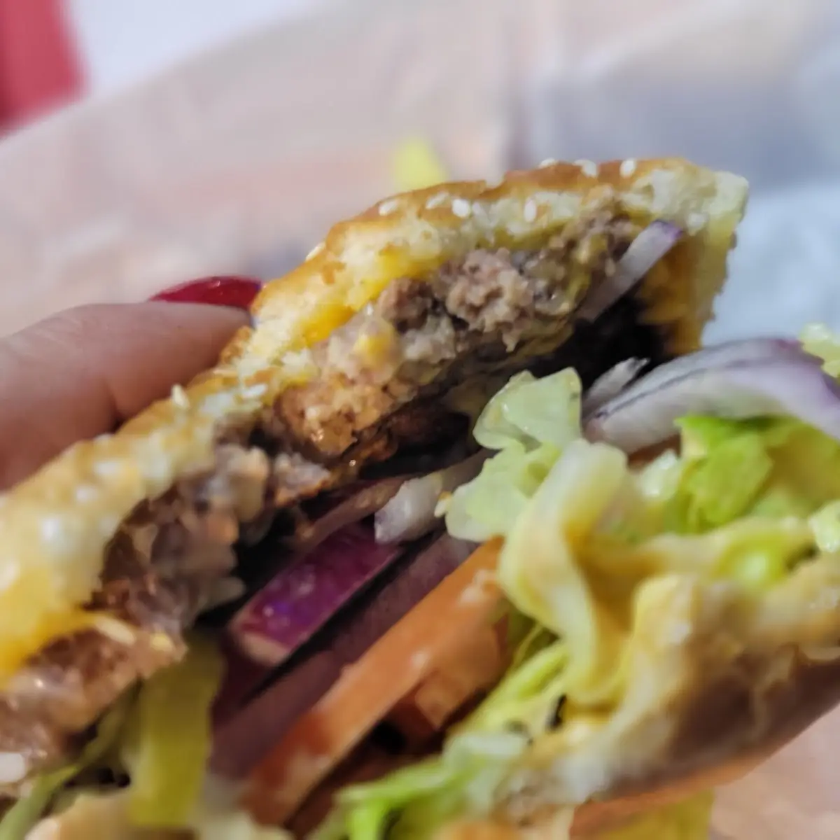 Large Cheese Burger Combo