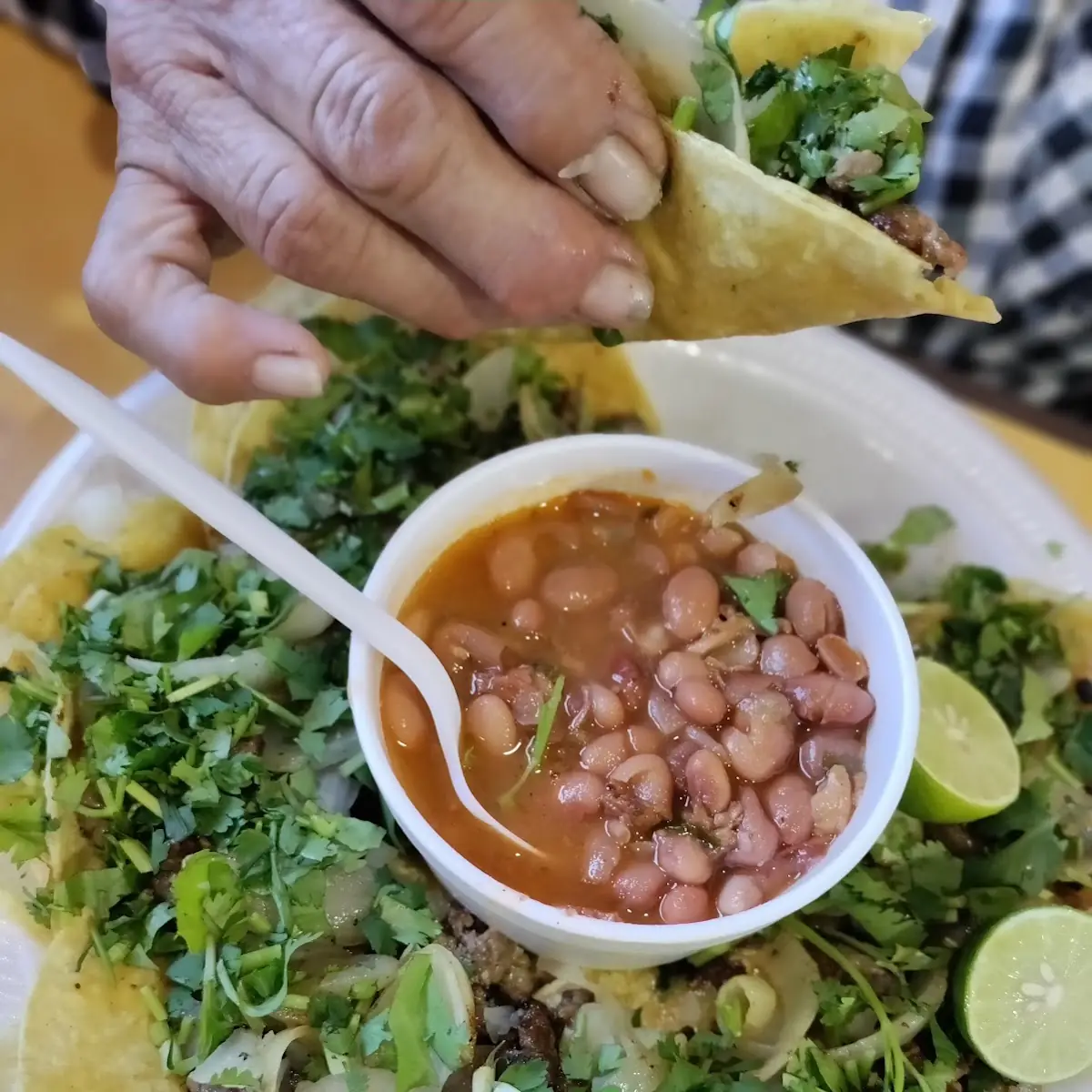 Tacos Mexicanos