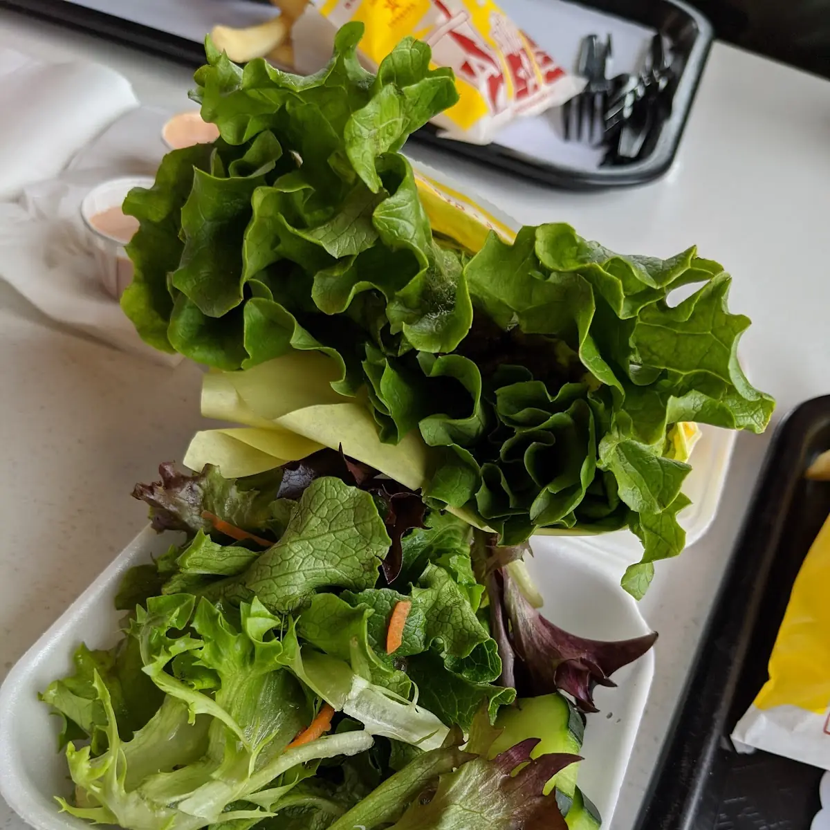 Side Salad and Burger Wrap