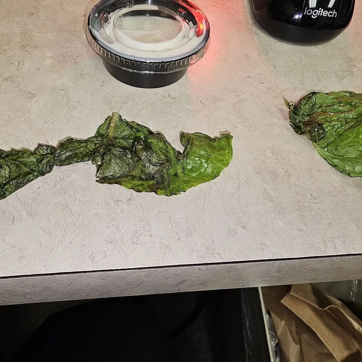 Jalapeno Peppers