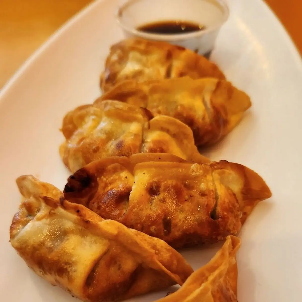 Pot Stickers