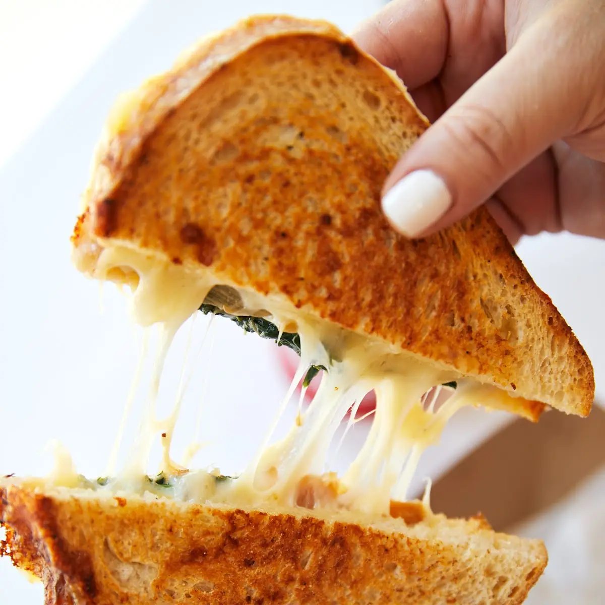 Grilled Cheese
