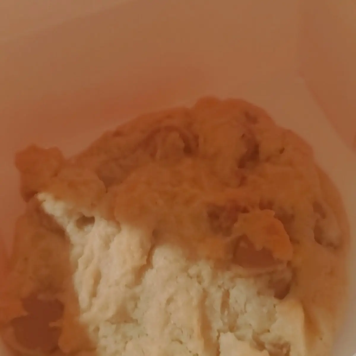 Milk Chocolate Chip Cookie