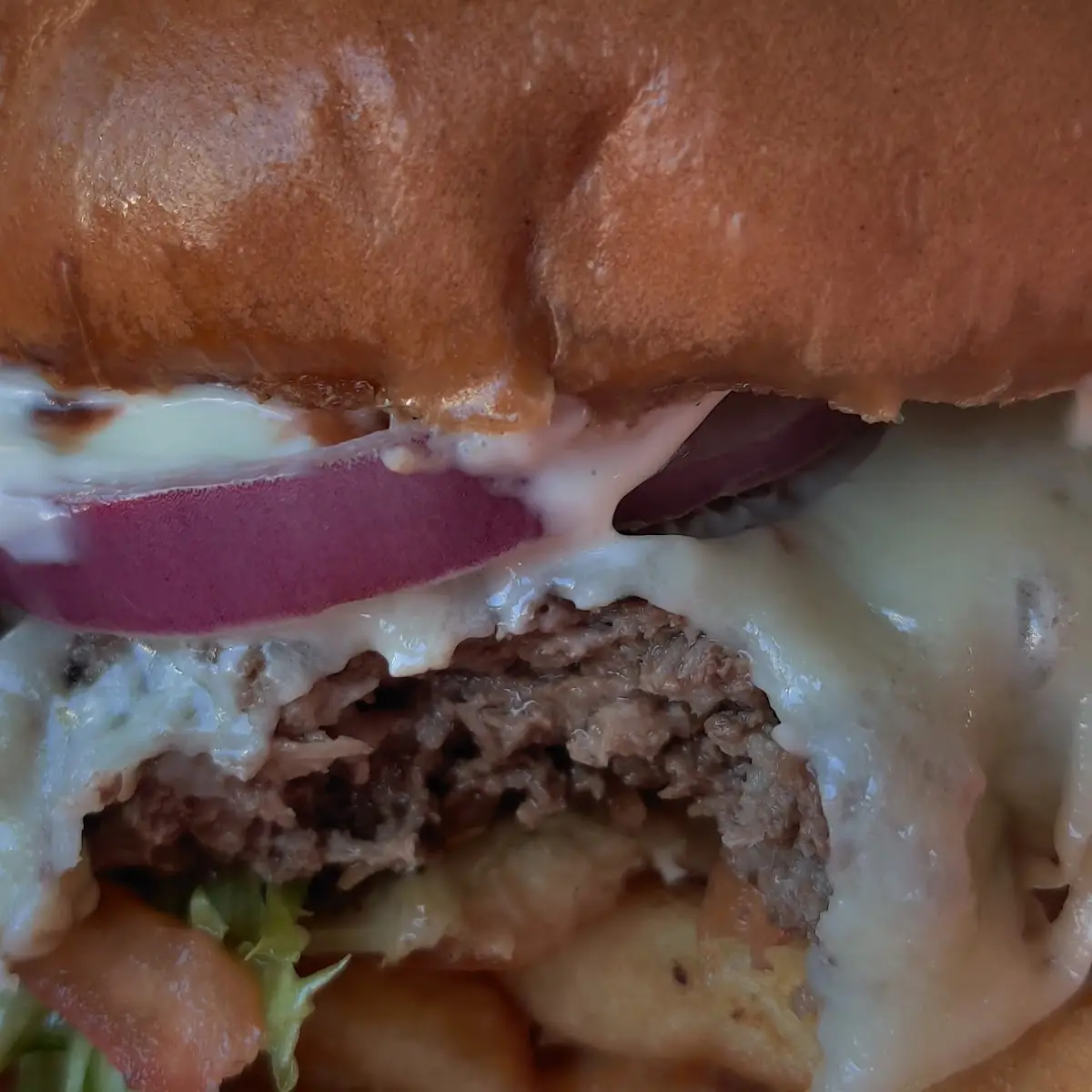 Bison Burger