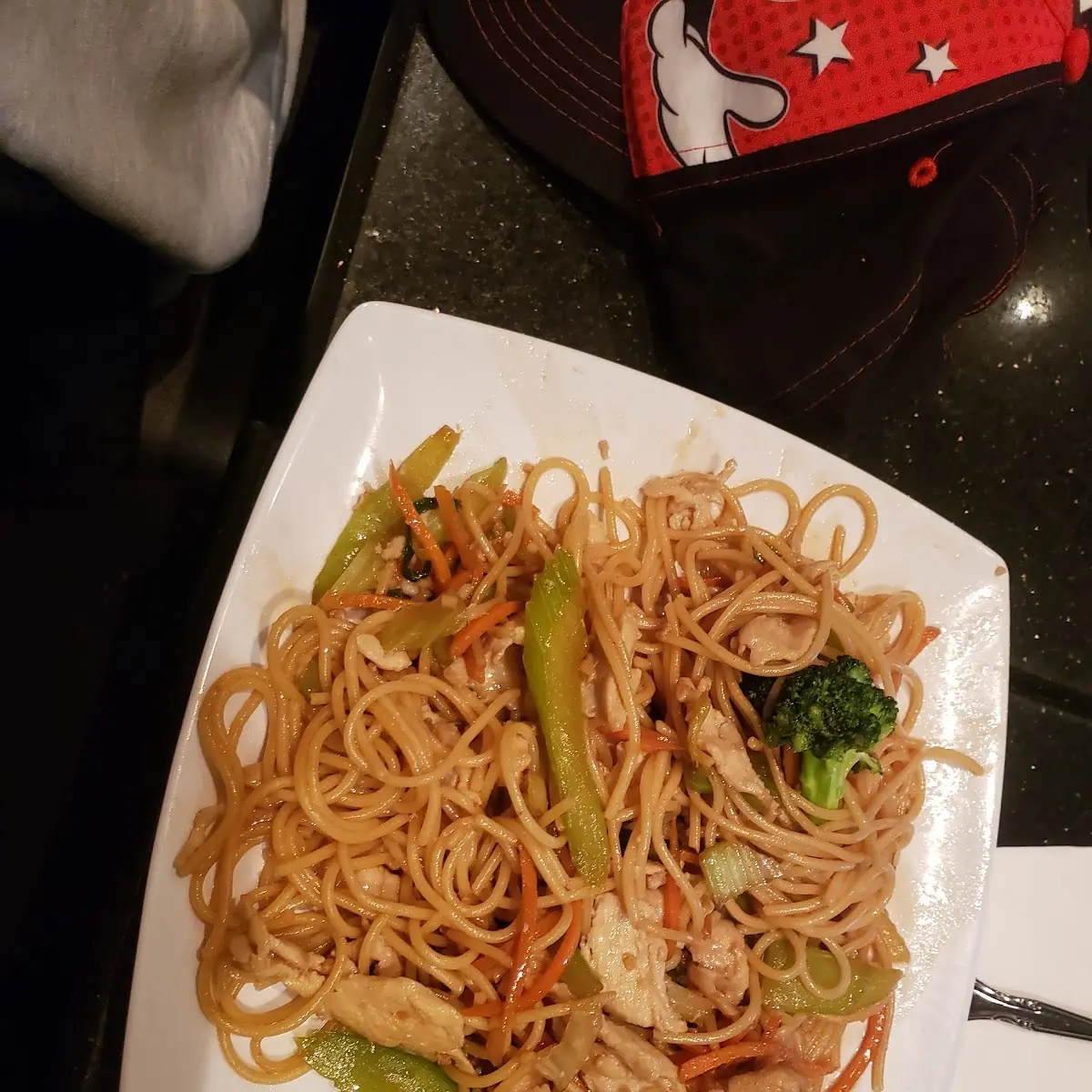 Combo Pan Fried Noodles