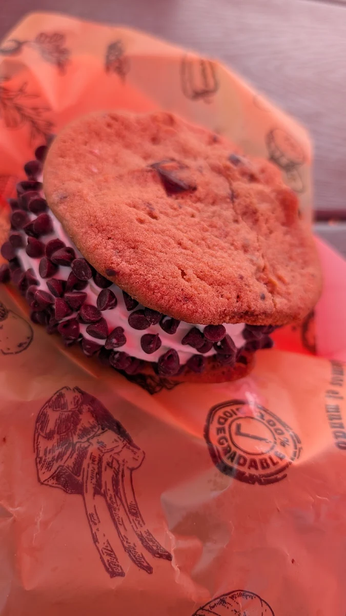 Chocolate Chip Ice Cream Sandwich