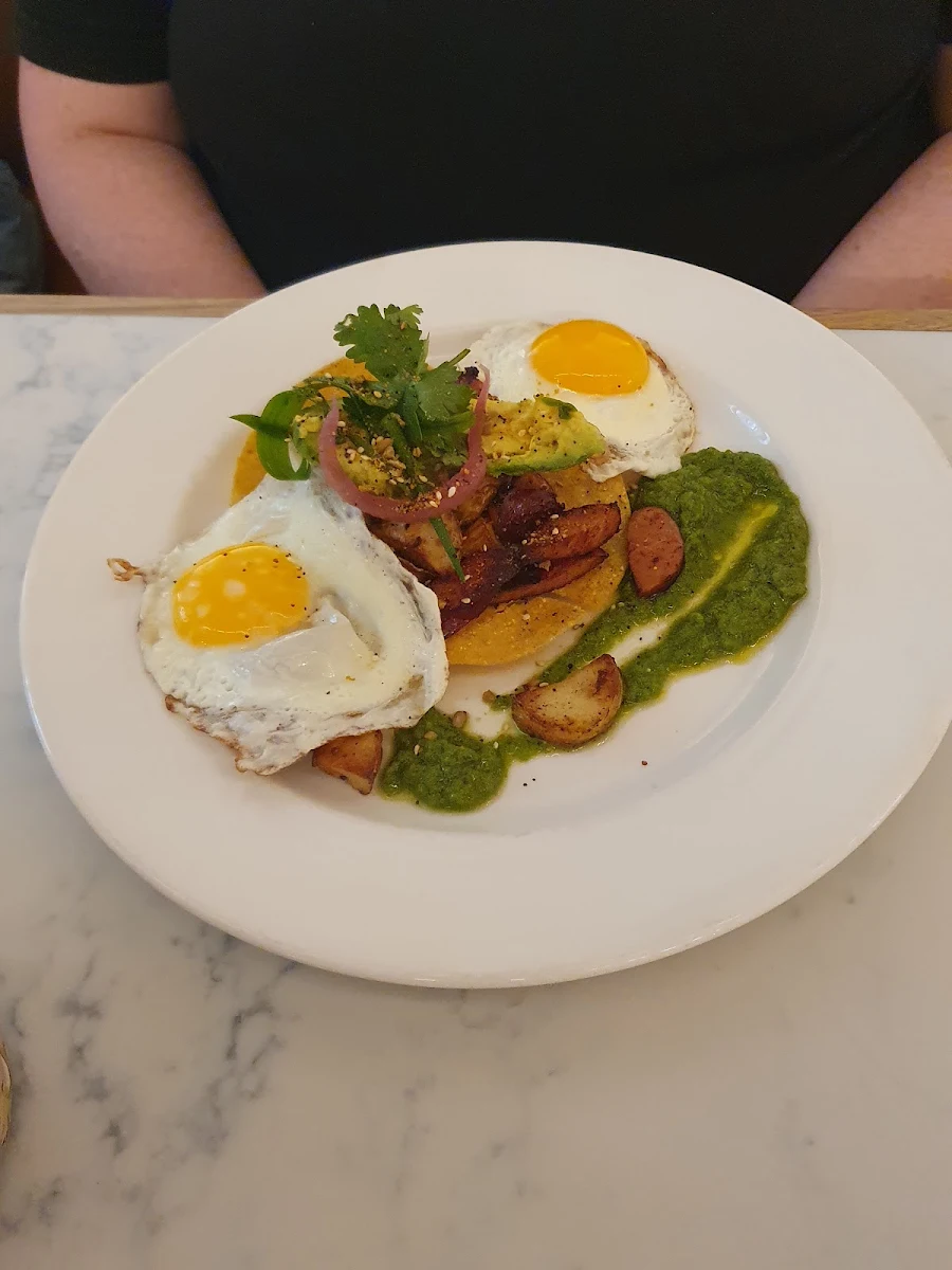 Benny Egg GFO
