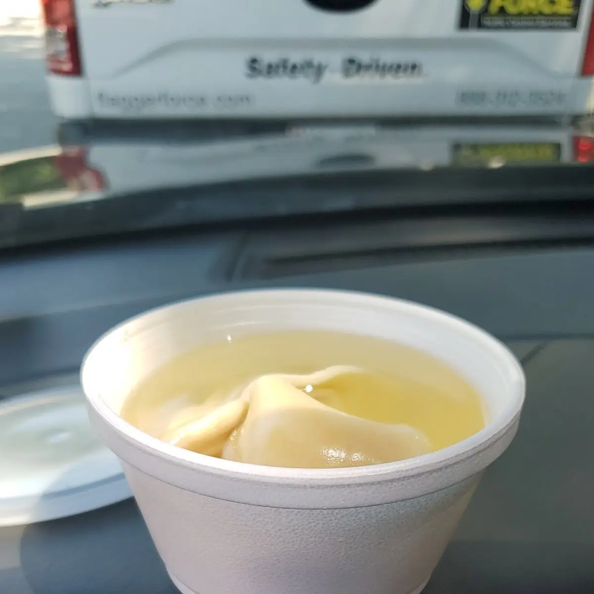 Wonton Soup