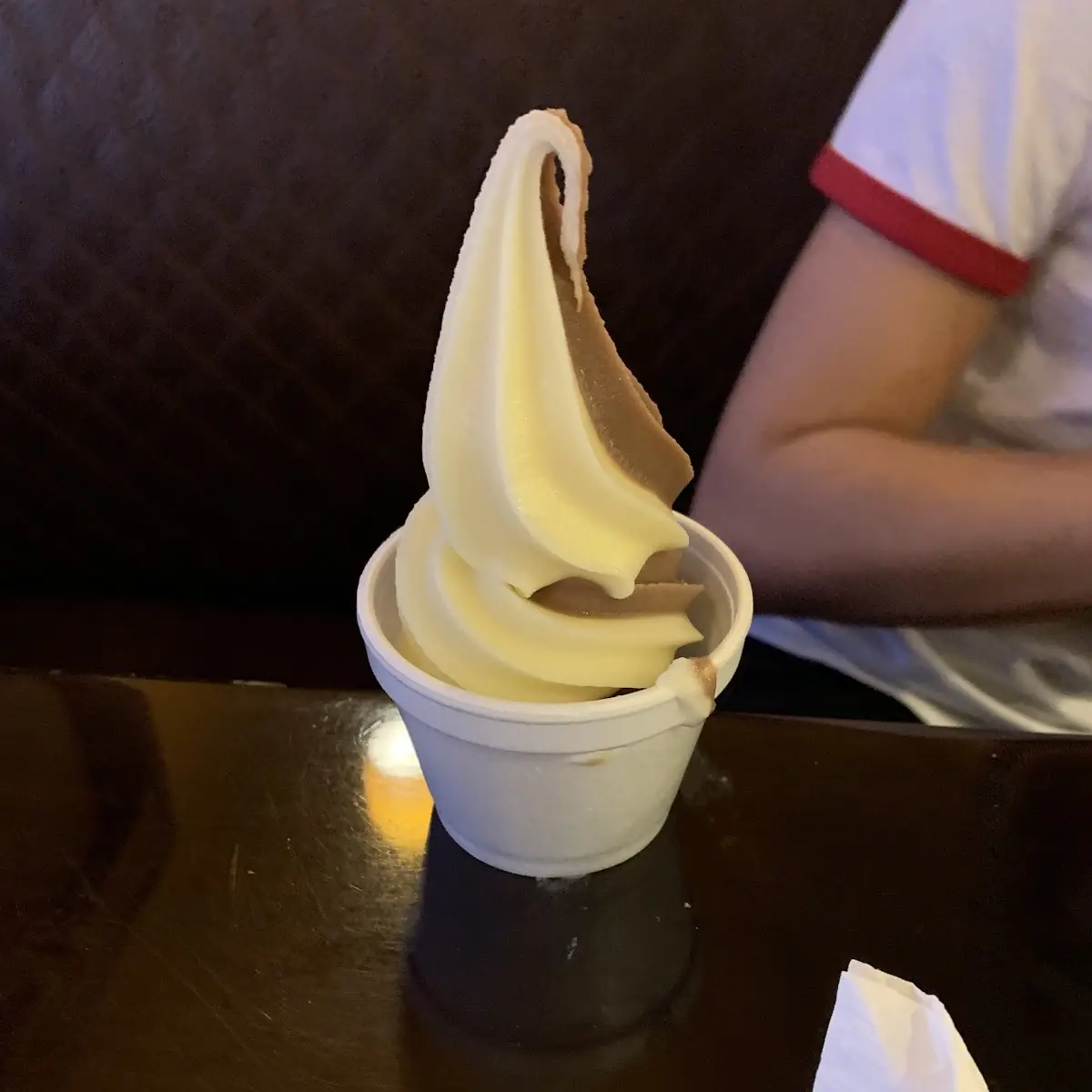 Chocolate Vanilla Ice Cream