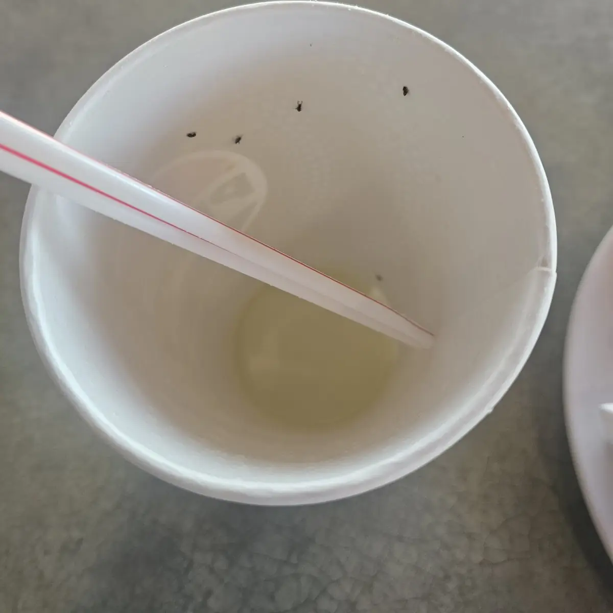 Mtn Dew & Ants