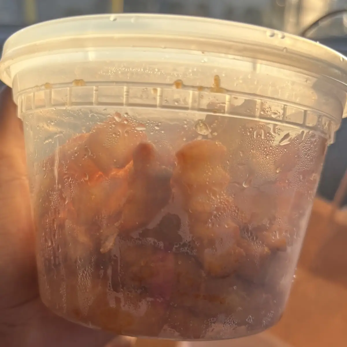 Regular French Fries