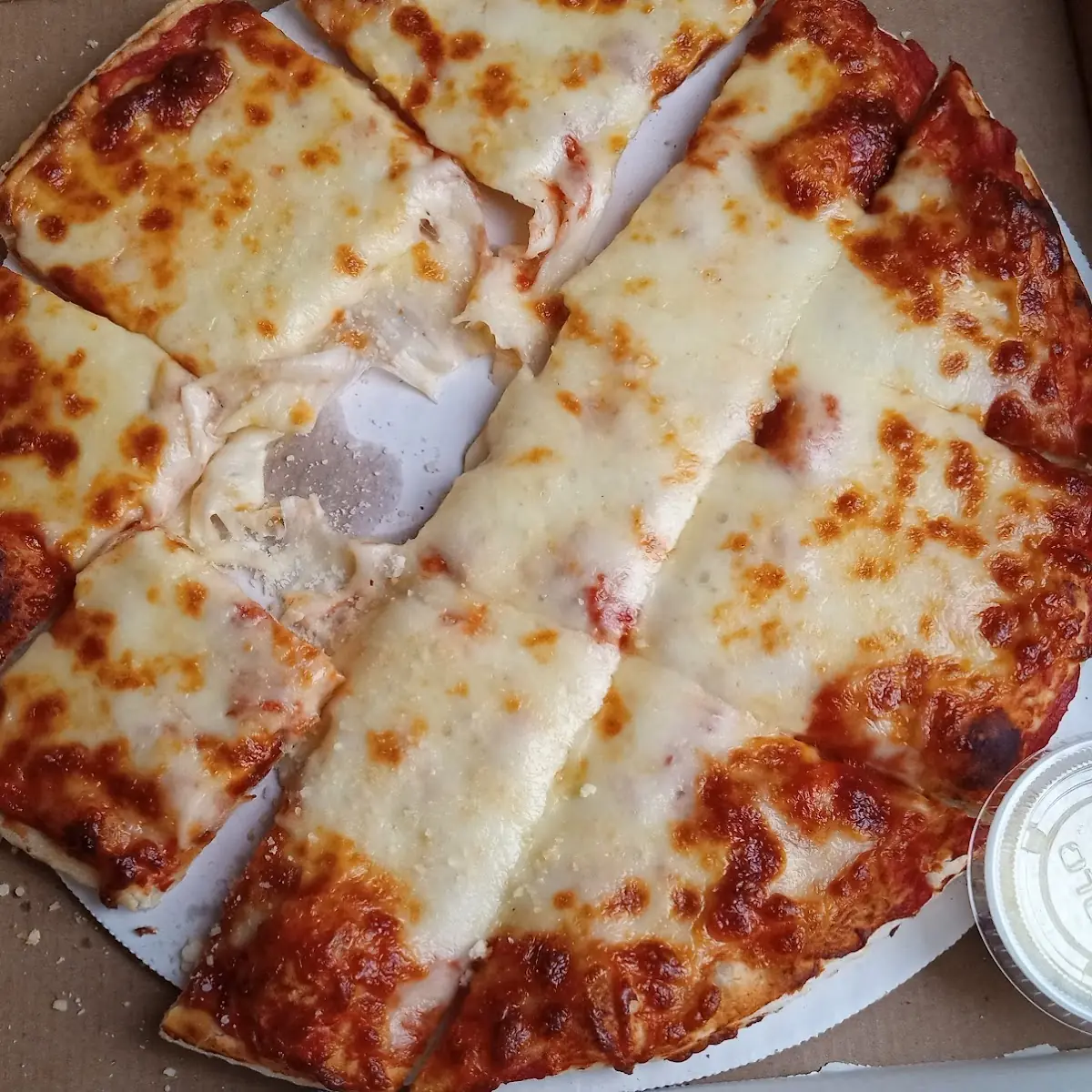 12 Plain Cheese Pizza with Light Sauce