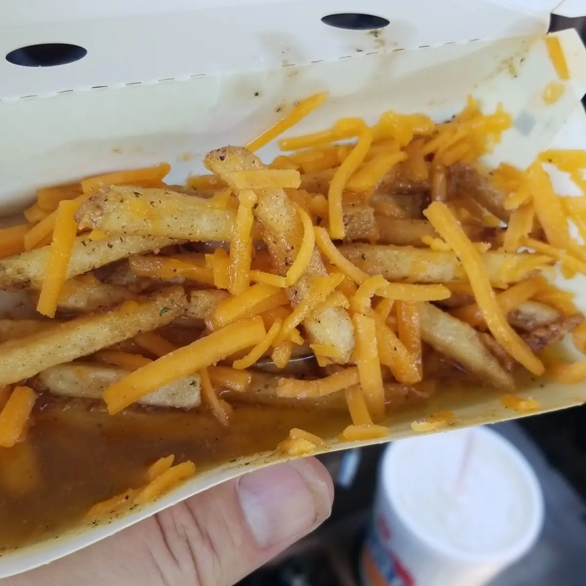 Fries with Cheese in Garlic Sauce