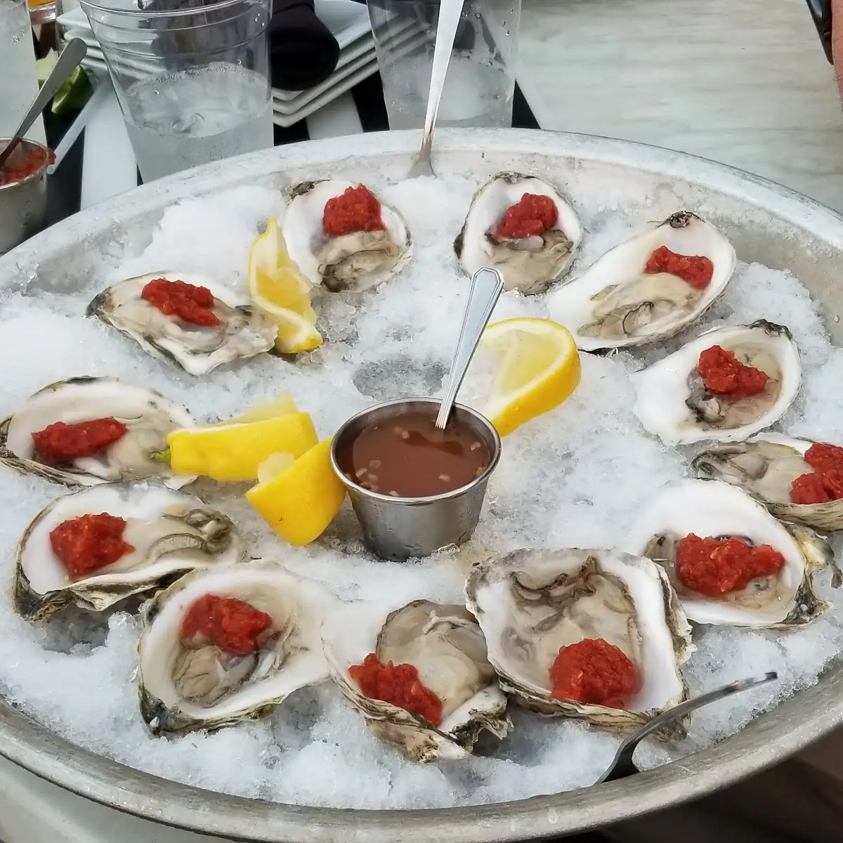 Oysters