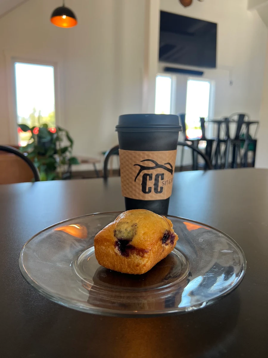 Blueberry Muffin
