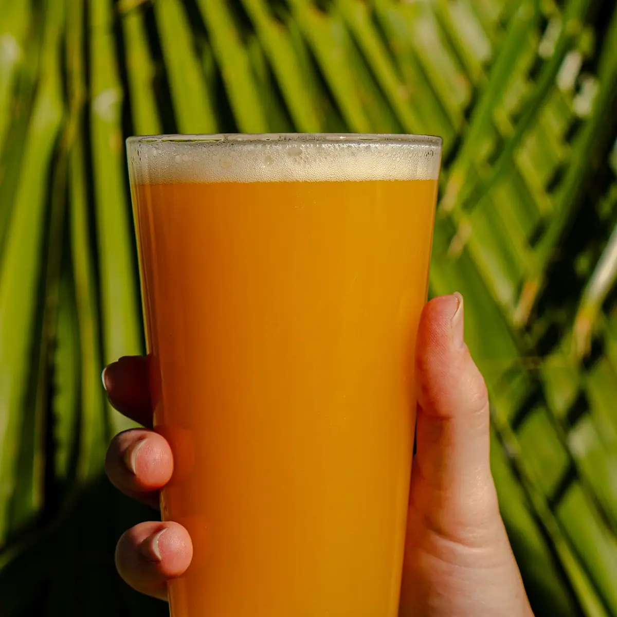 Hazy IPA