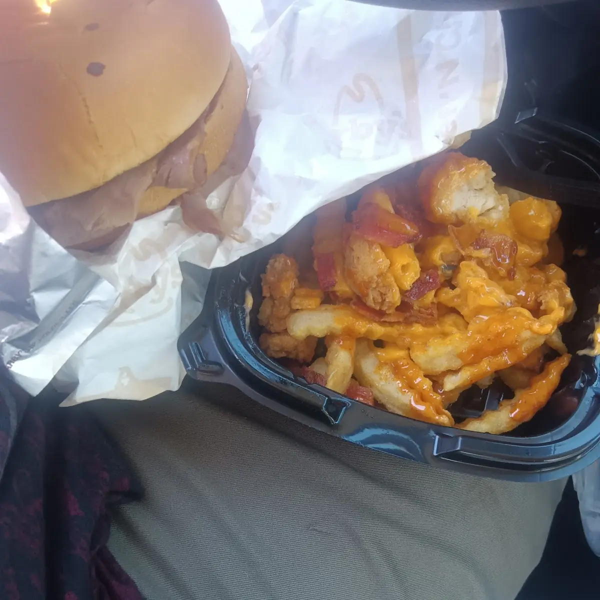 Loaded Fries and 2 Cheddar Cheese