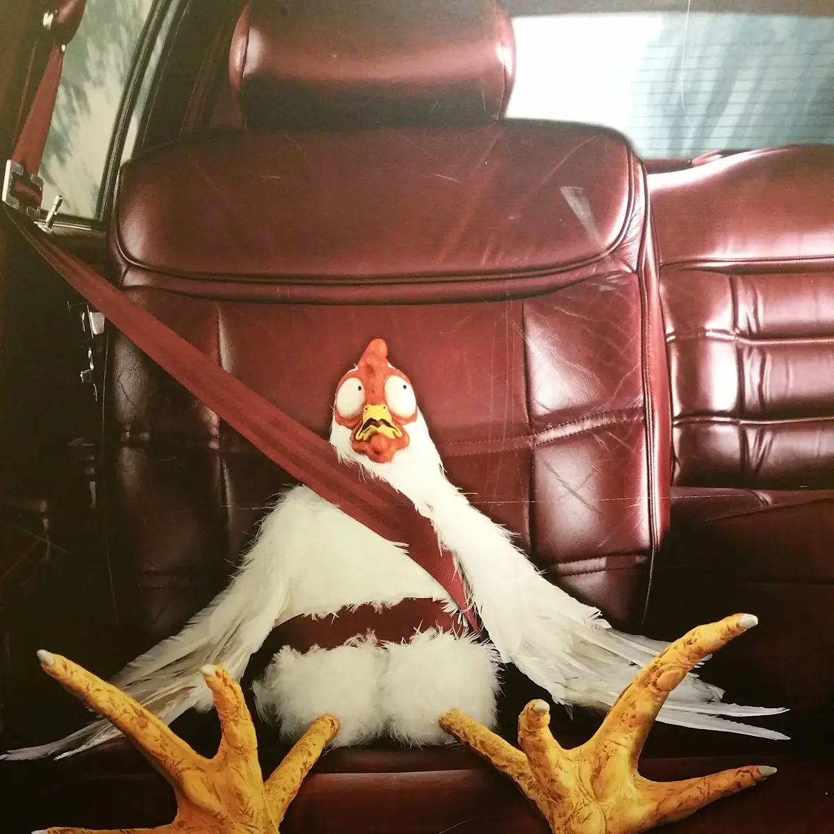 Great Wings