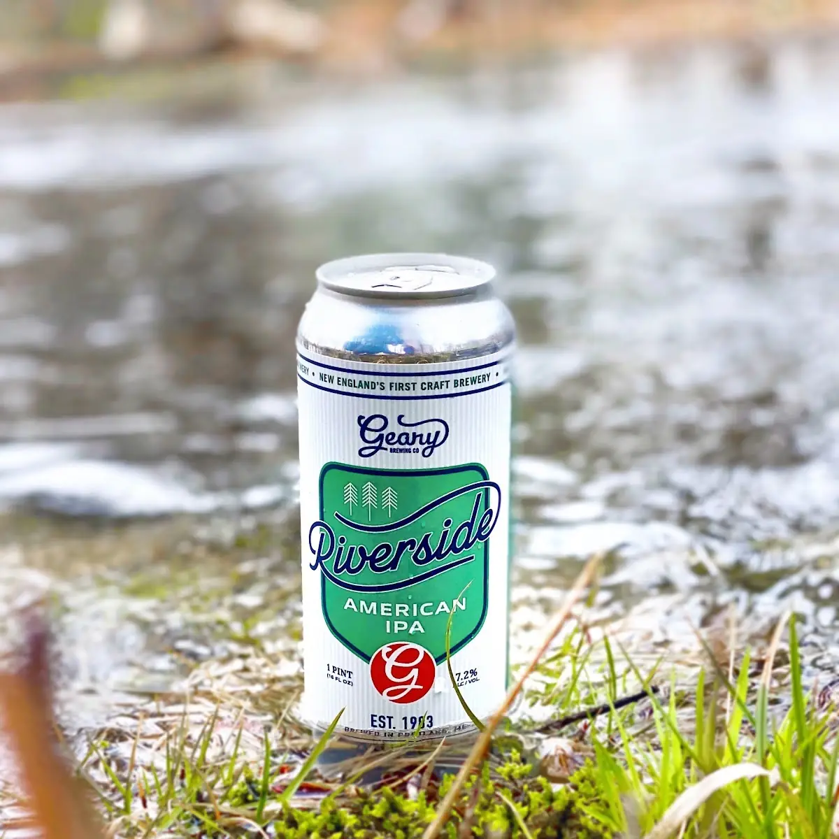 Fresh-In Session IPA
