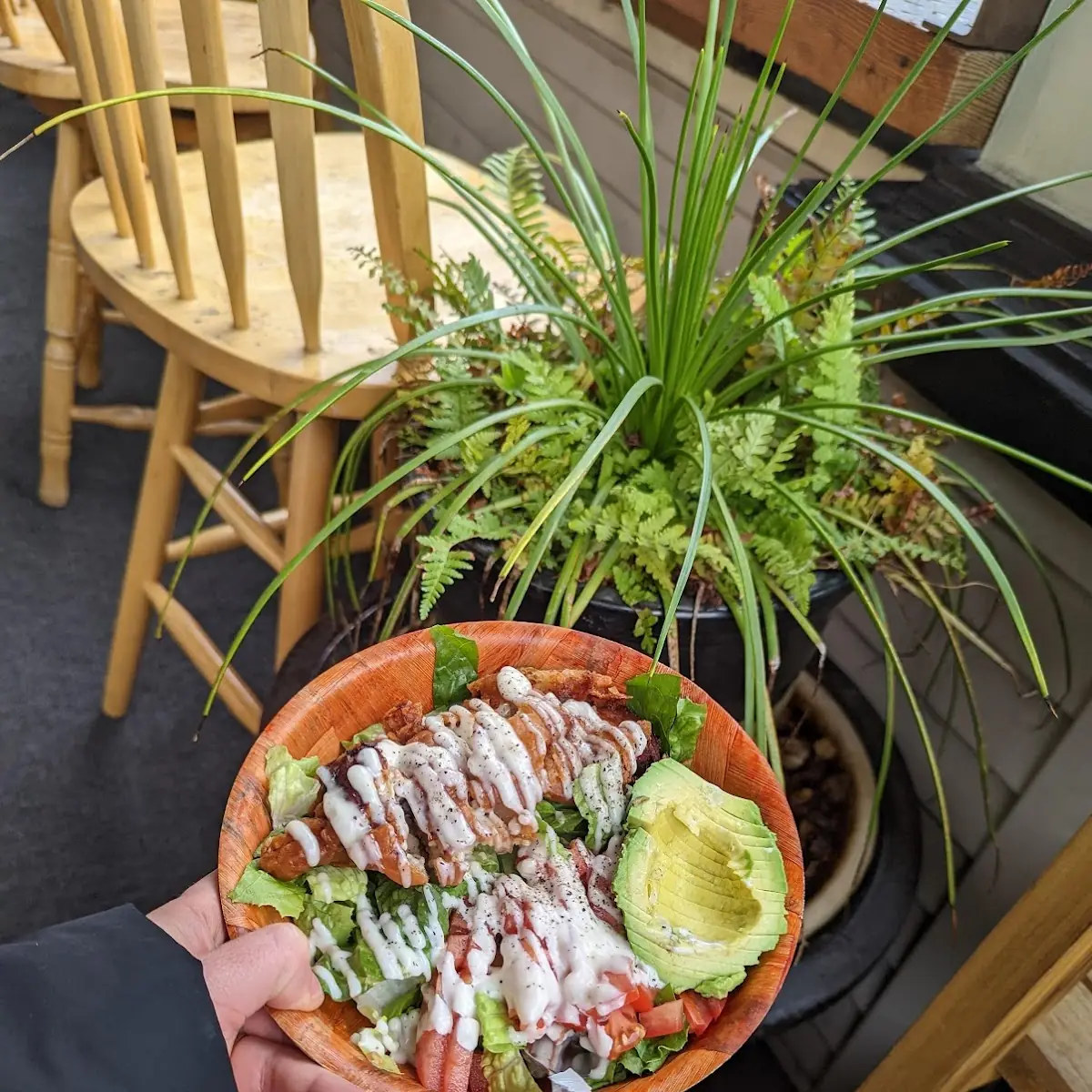 Chicken Avocado Salad