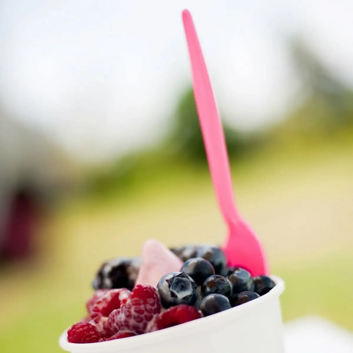 Frozen Yogurt