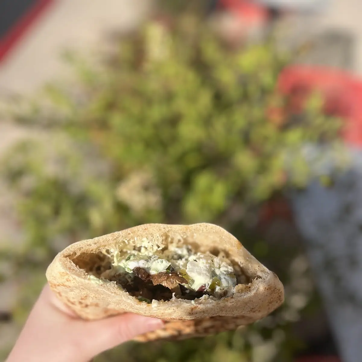 Shawarma on a Pita