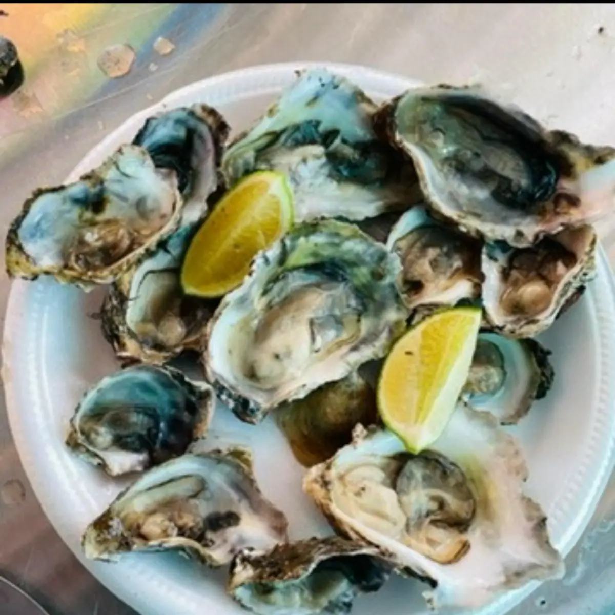 Ostiones Oysters
