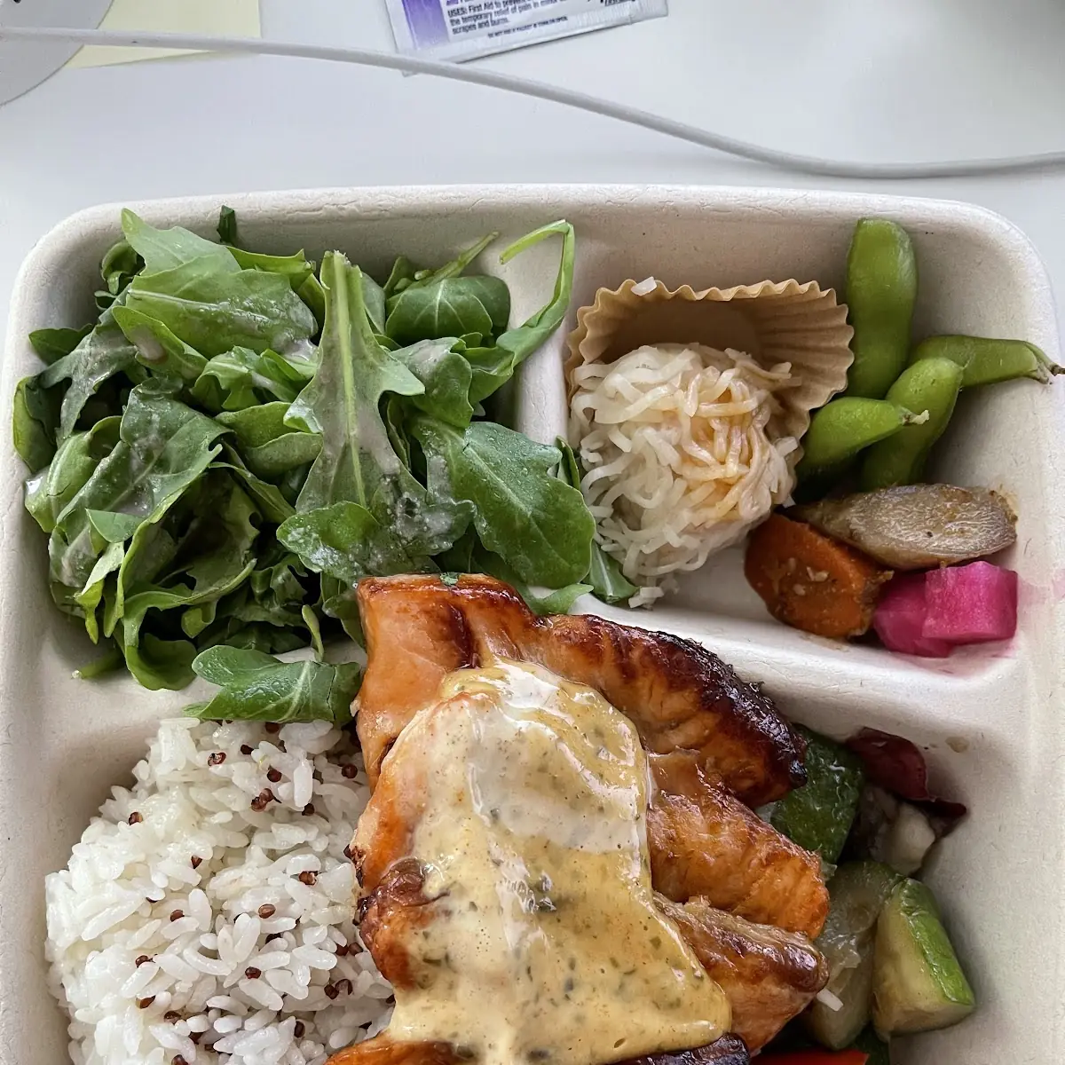 Grilled Salmon Bento Box