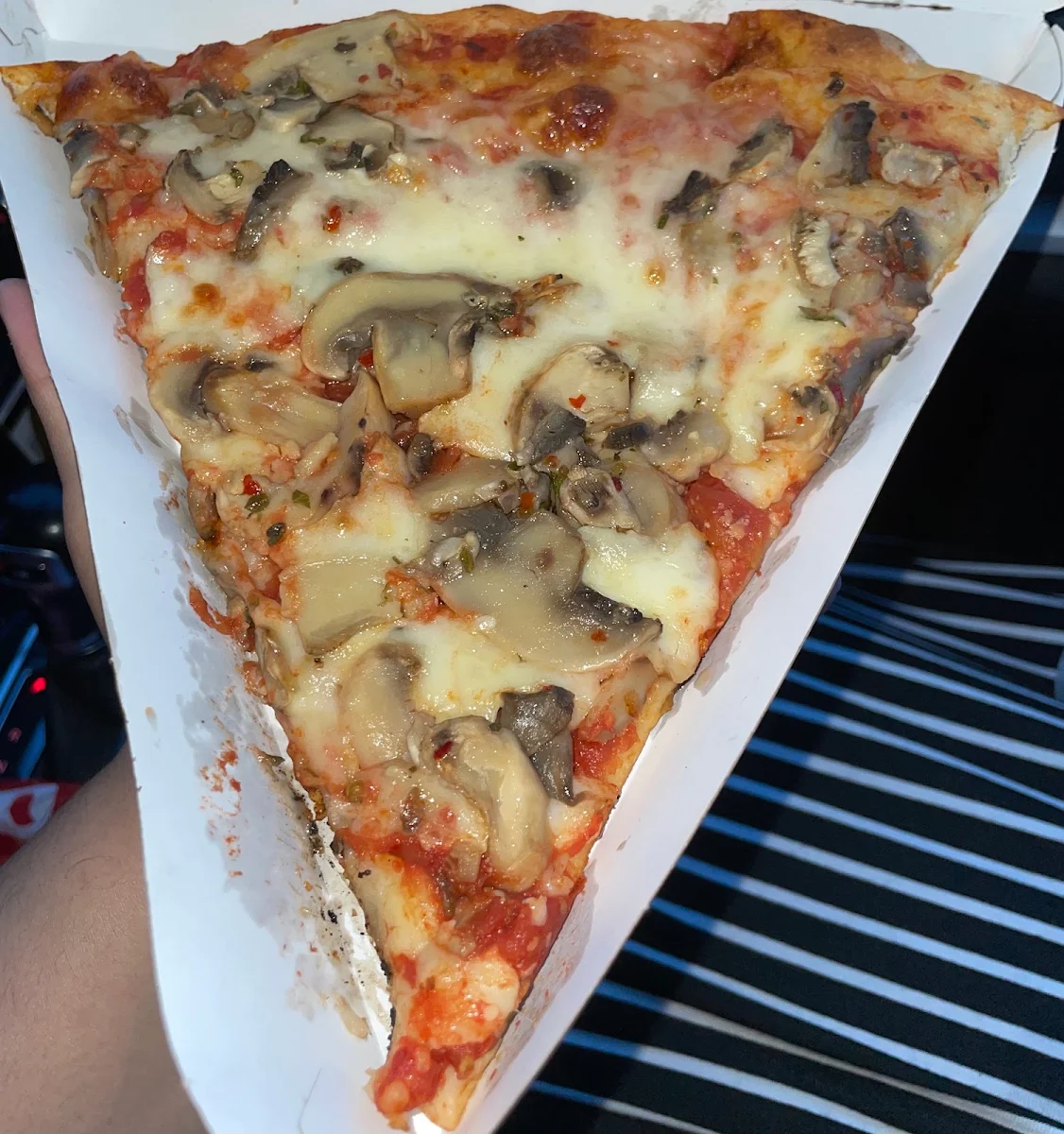 Mushroom Pizza