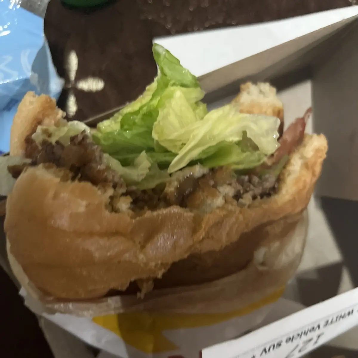 Burger Animal Style