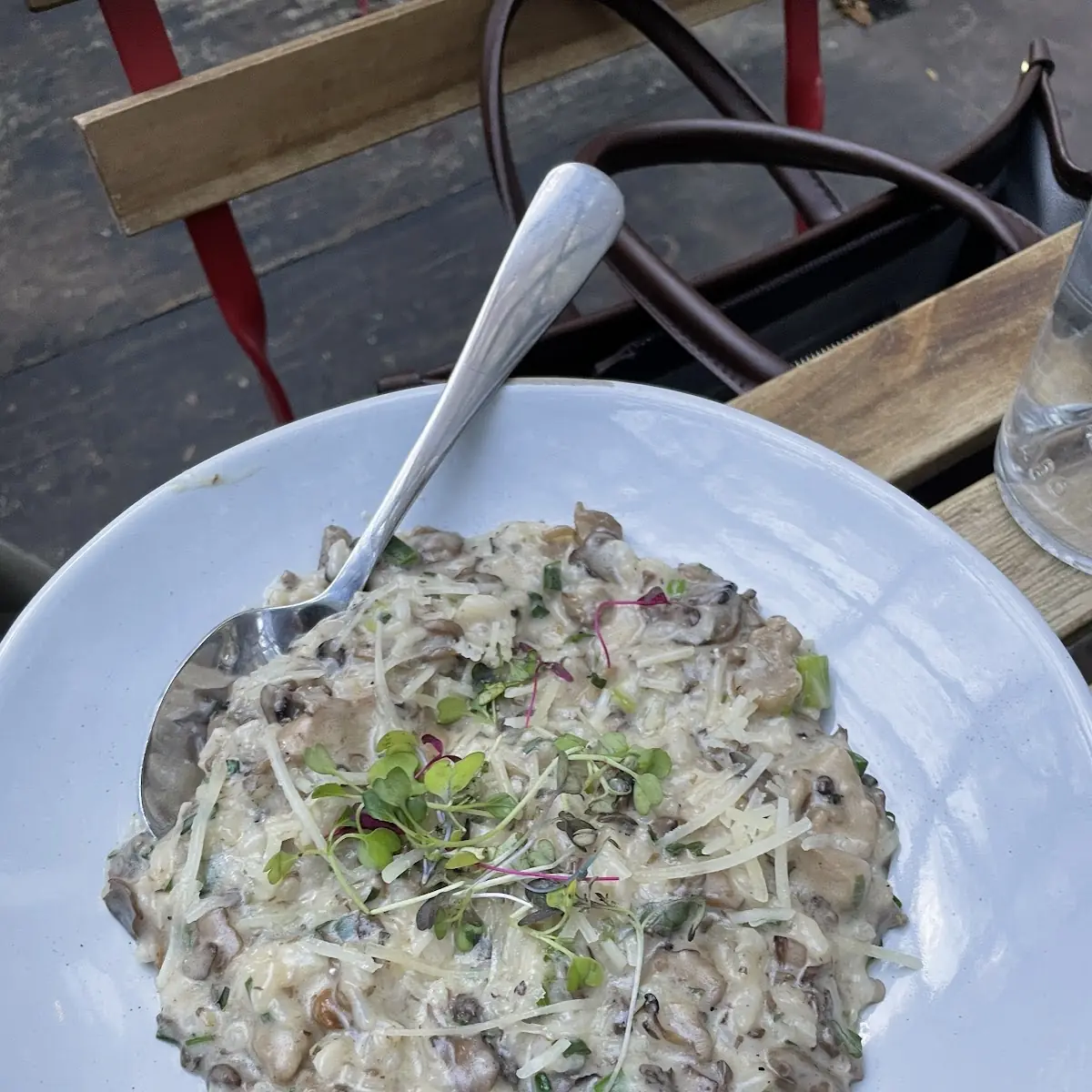 Mushroom Risotto