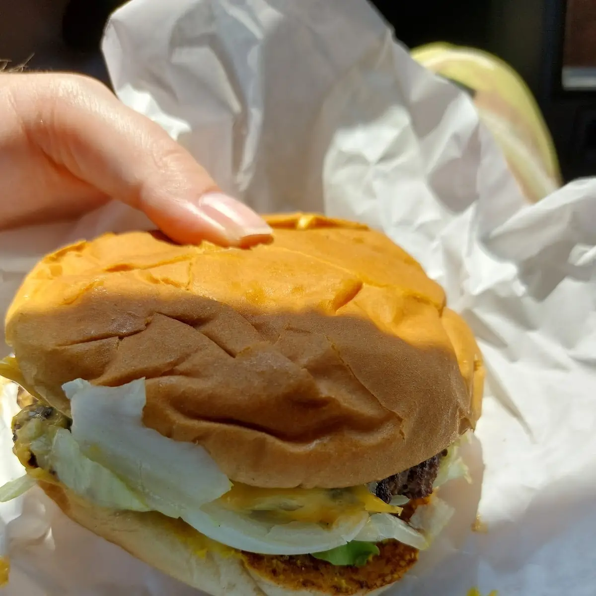 Double Cheeseburger
