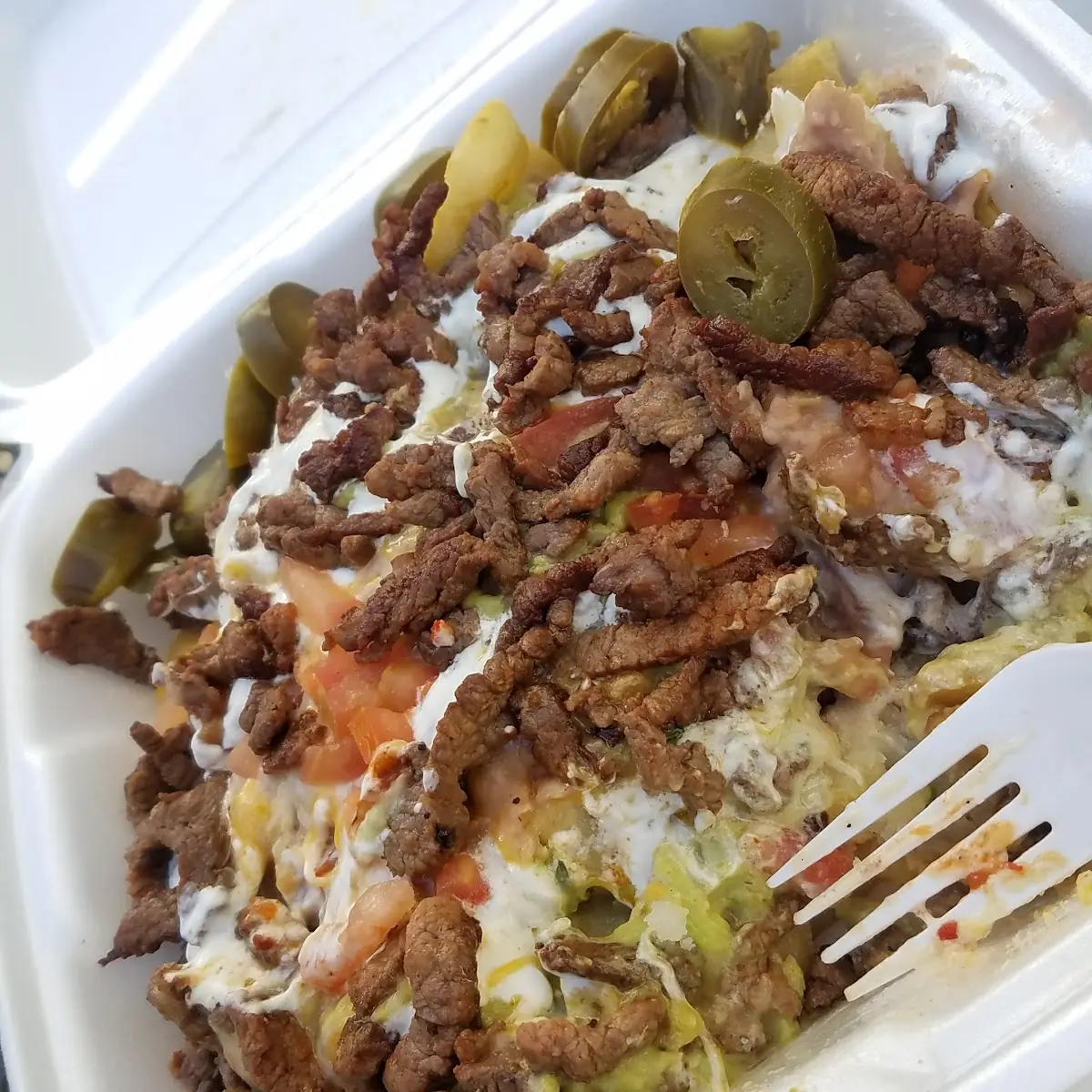 Asada Nacho Fries
