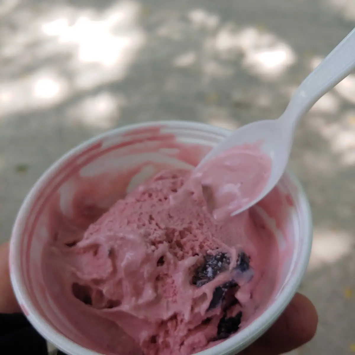 Black Cherry Ice Cream