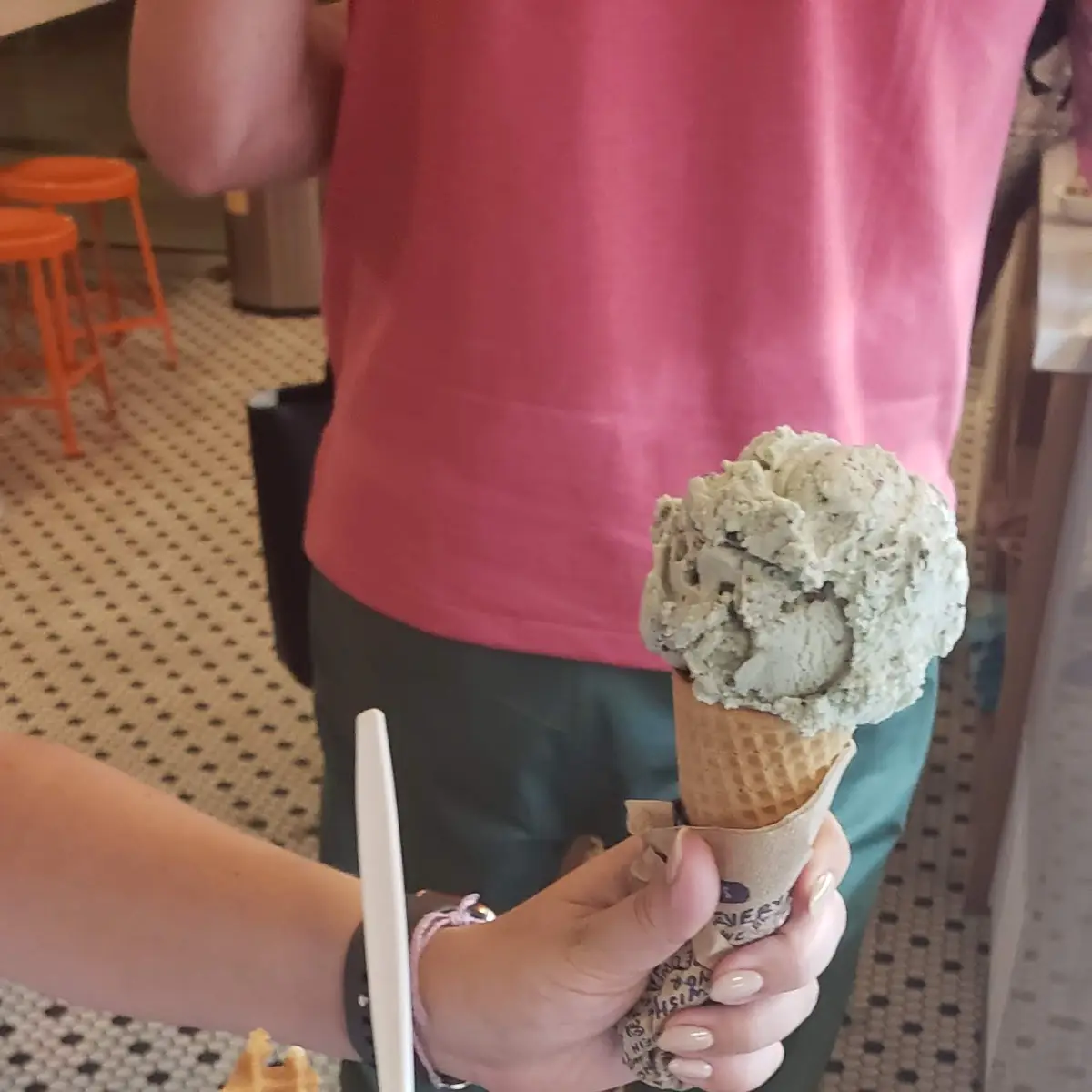 Mint Chocolate Chip