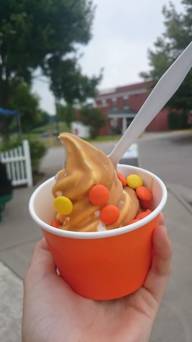 Frozen Yogurt