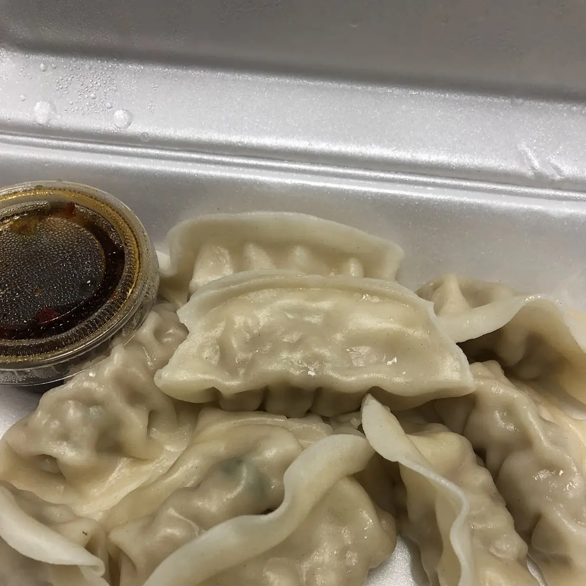 Fried or Steamed Dumplings 8