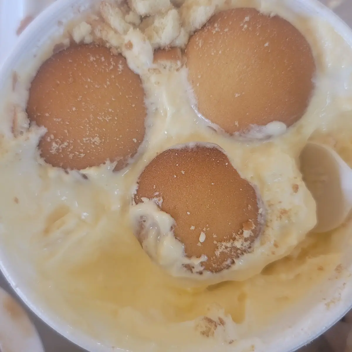 Banana Pudding