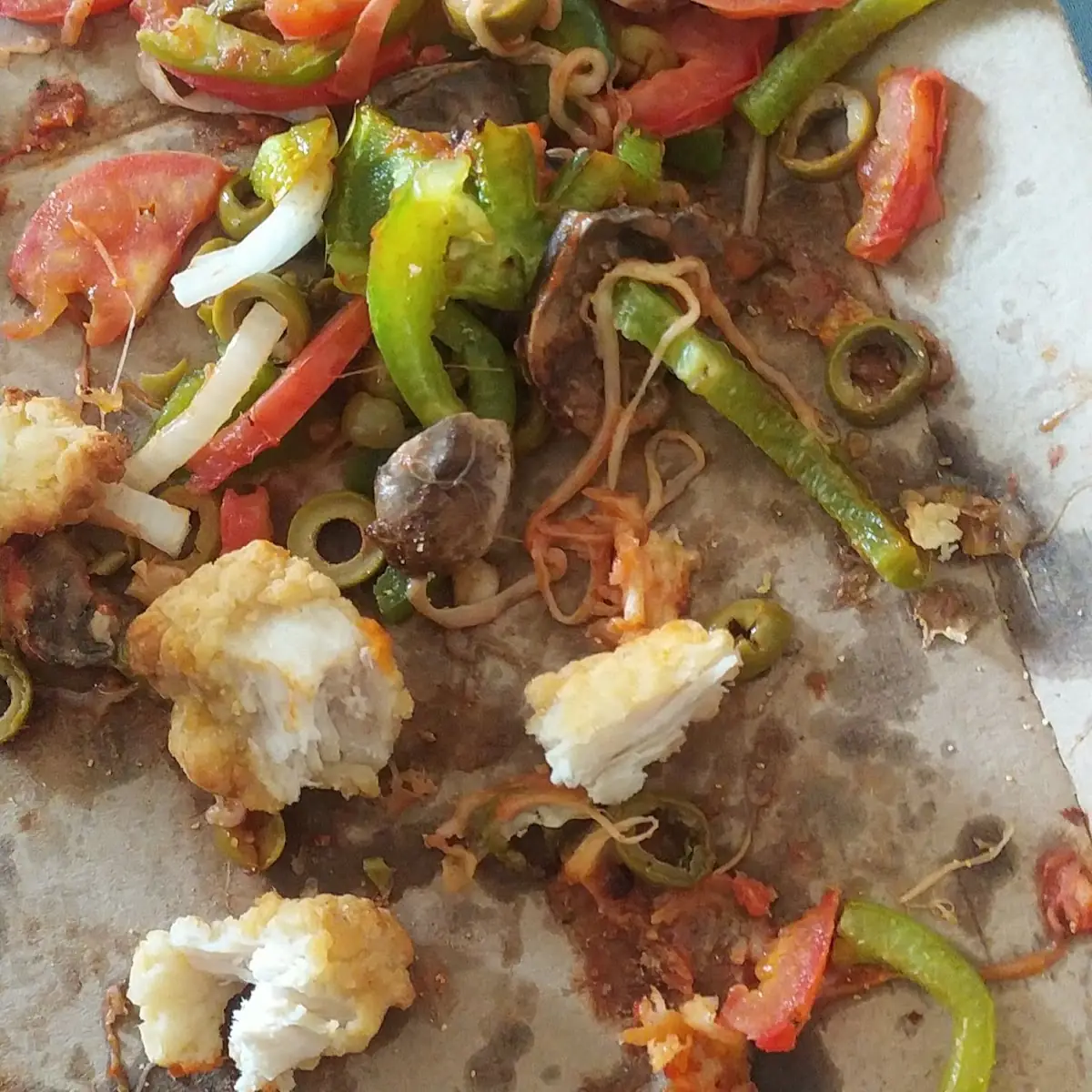 Vegetarian Pizza