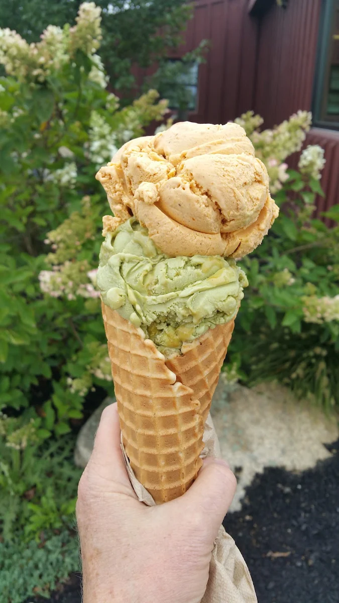 Green Tea Honey
