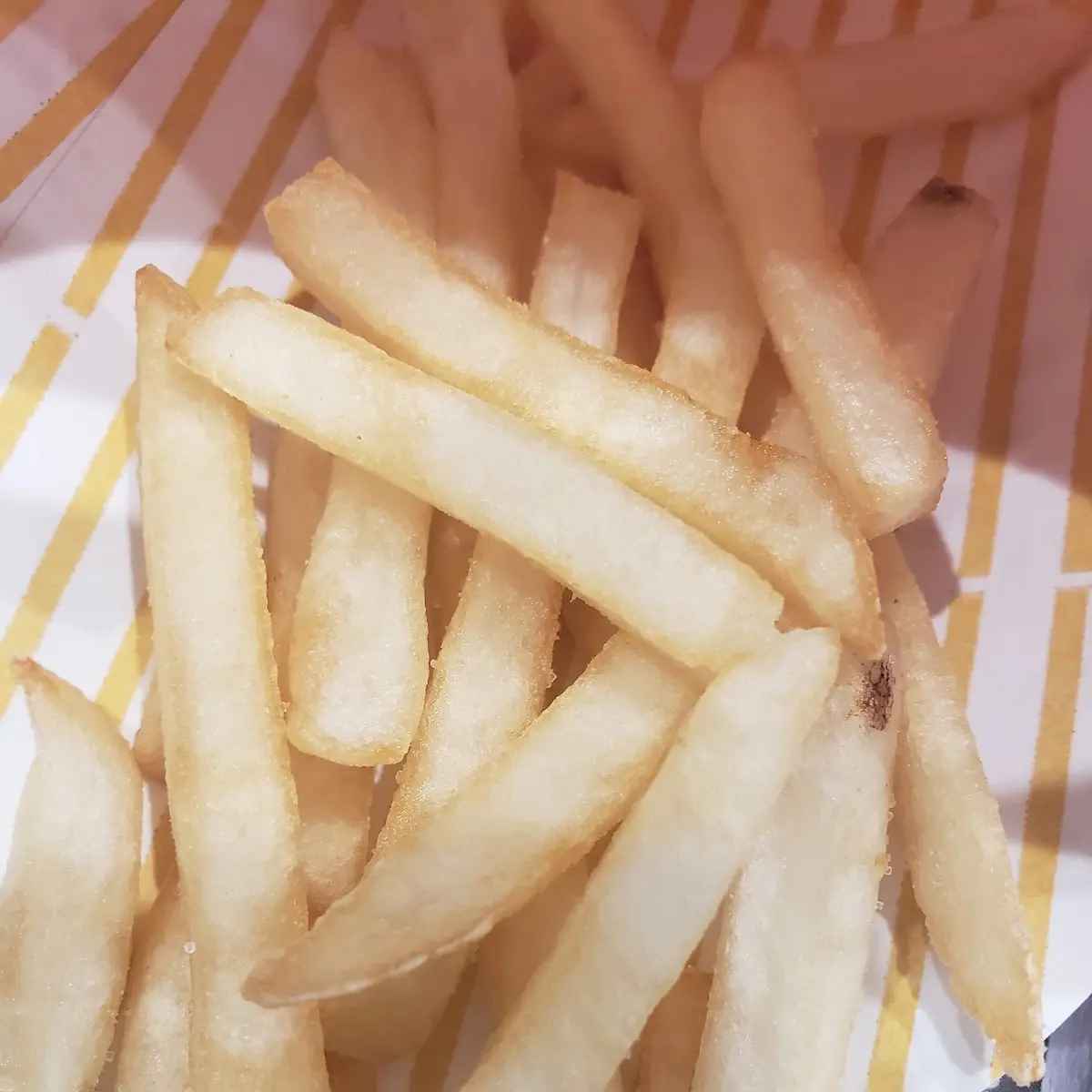 World Famous Fries