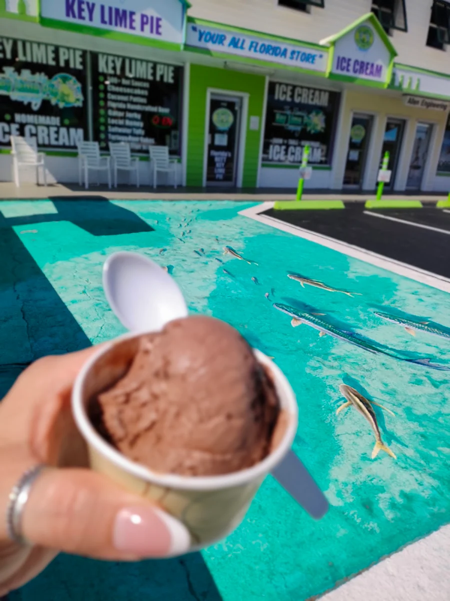 Chocolate Ice Cream