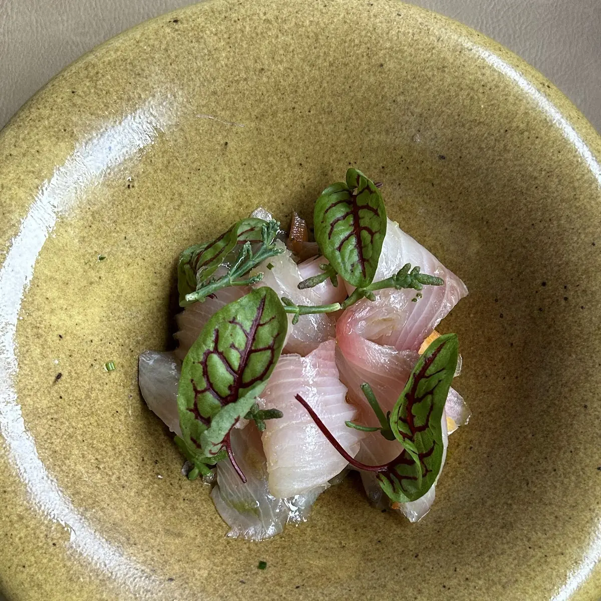 Dry-Aged Kingfish Ceviche