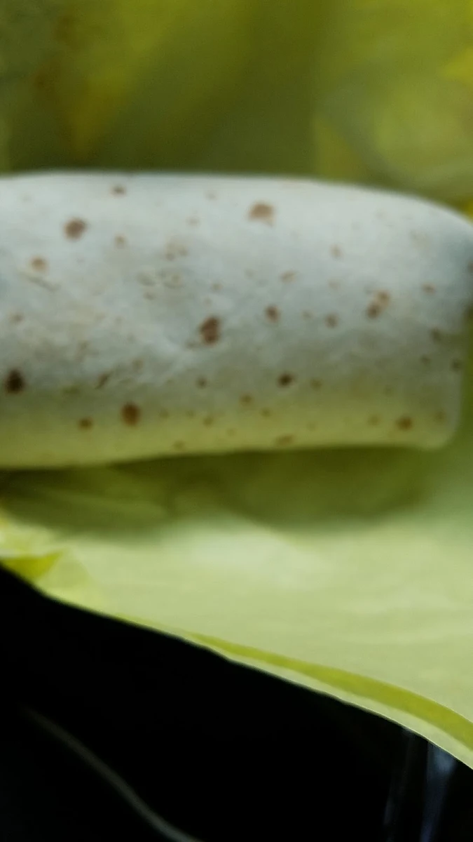 Chicken Burrito Double Wrapped