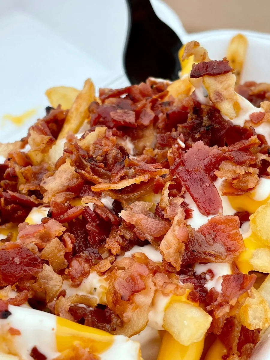 Bacon Ranch Cheese Fries