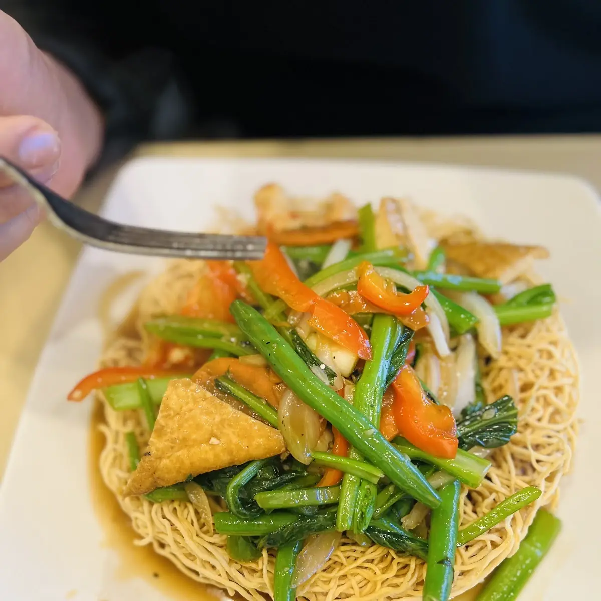 Crispy Fried Noodles
