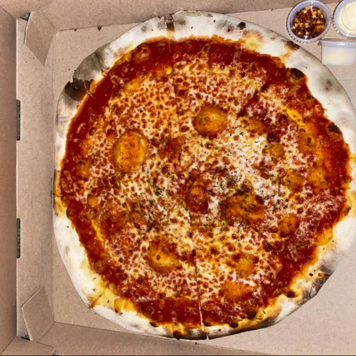 Pizza Margherita