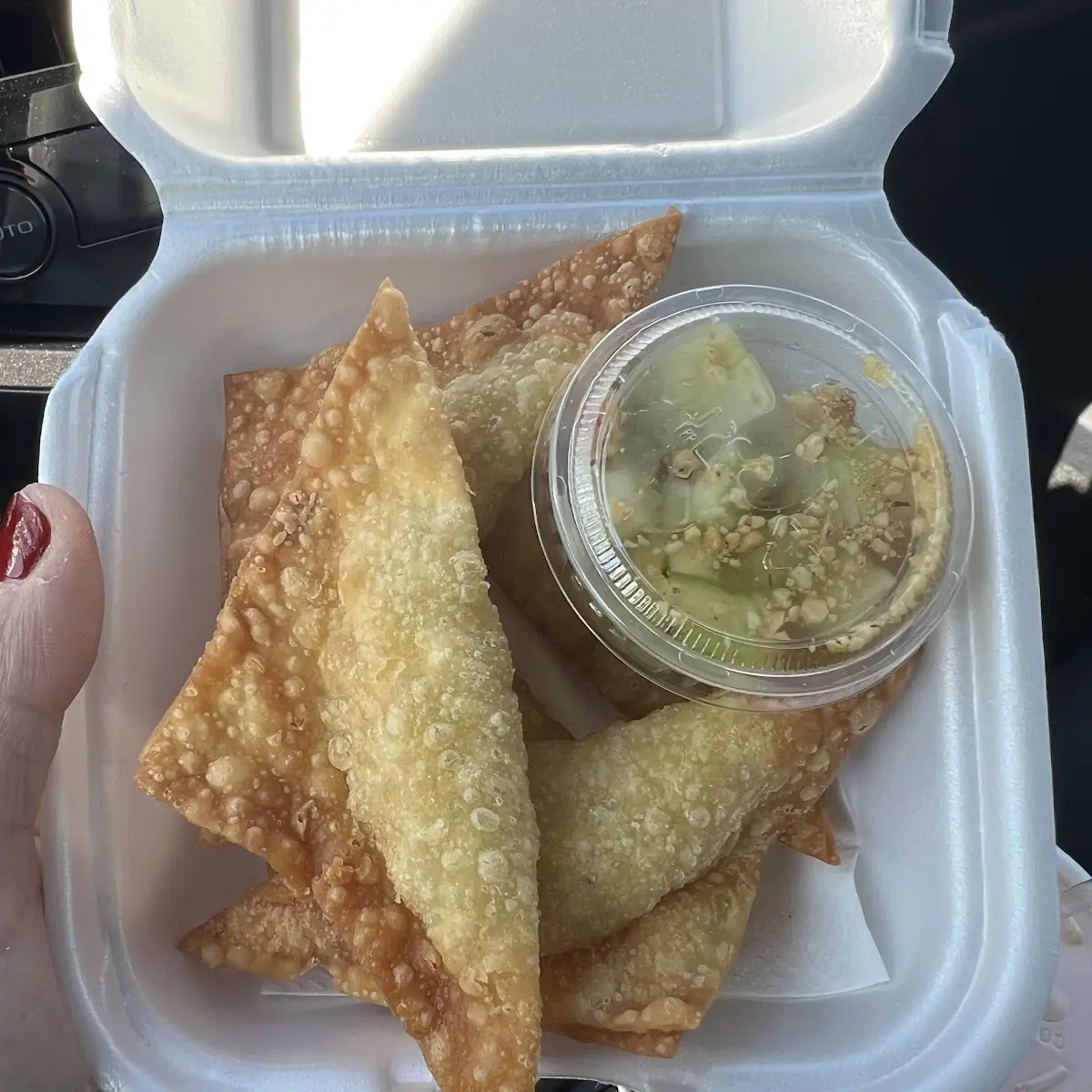 Fried Wonton