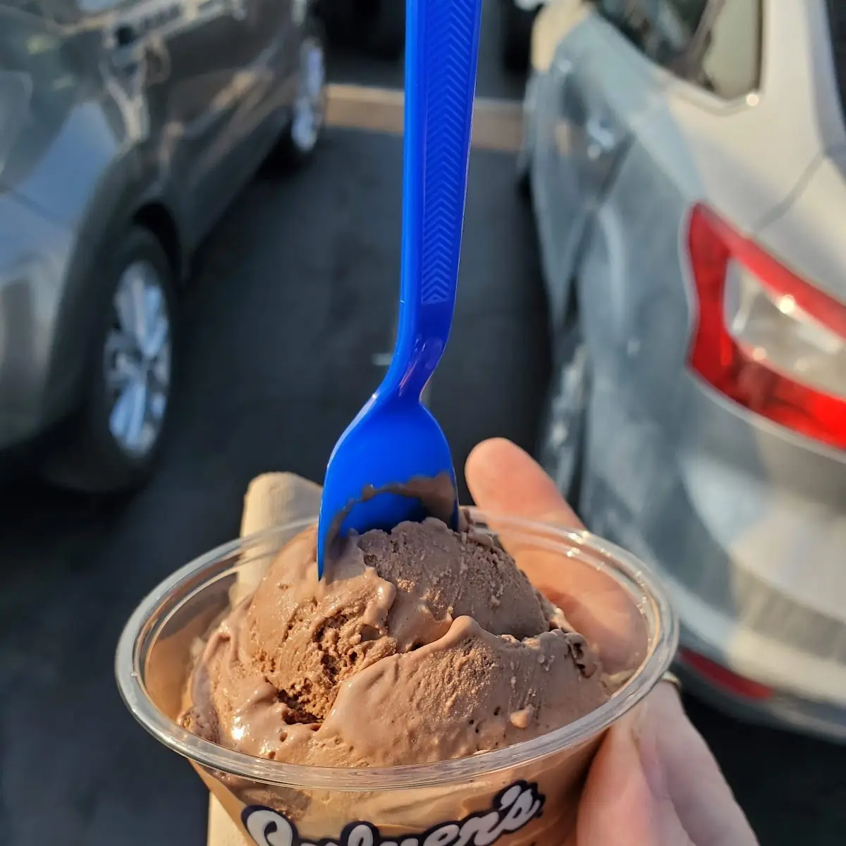 Chocolate Ice Cream