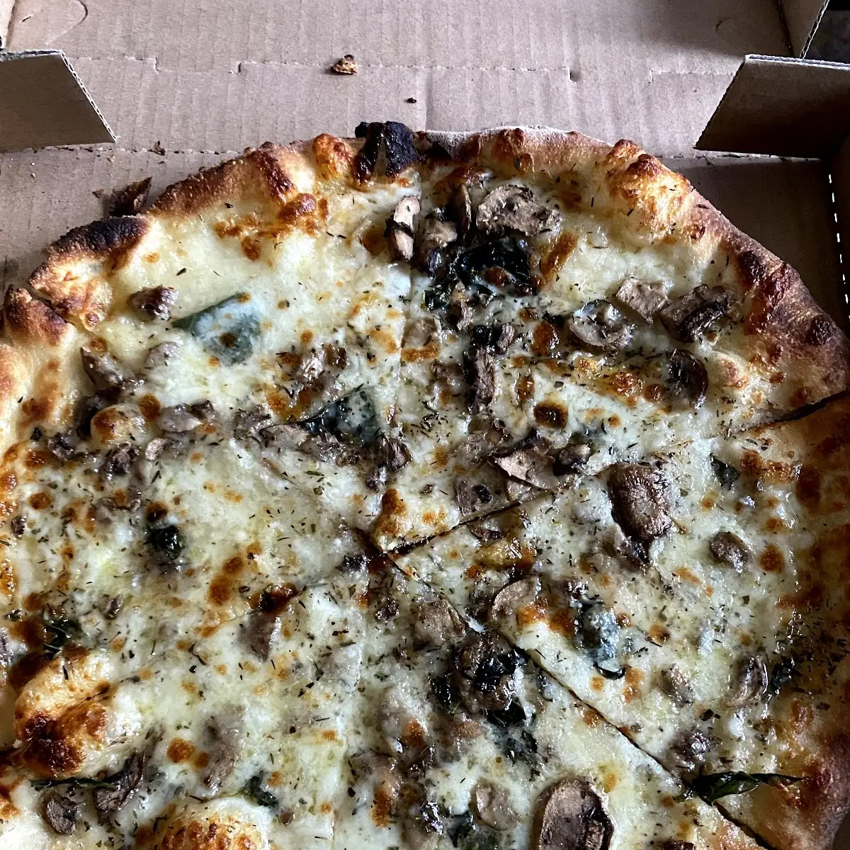 Fungo Pizza
